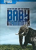 Baby Mammoth:raising the Mammoth