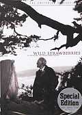 Wild Strawberries