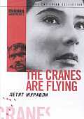 Cranes Are Flying