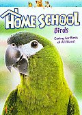 Home School:birds