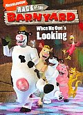 Back At the Barnyard When No One's Lo