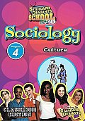 Sociology Module 4:culture