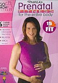 Go Mom Fitness 15 To Fit:prenatal Fit