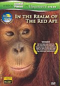Wild Asia 1:in the Realm of the Red A