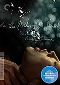 In the Realm of the Senses: Criterion Collection (Blu-ray)