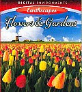 Flowers & Gardens (Blu-ray)