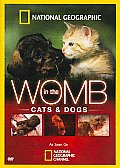 In the Womb:cats and Dogs