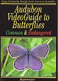 Audubon Videoguide To Butterflies Com