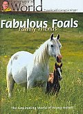 Fabulous Foals