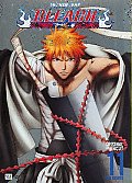 Bleach V11