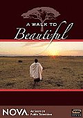 Walk To Beautiful