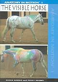 Anatomy in Motion:Visible Horse
