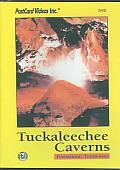 Tuckaleechee Caverns