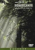Forest Rays