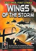 Gulf War First Strike:Wings of Storm