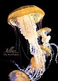 Art of Nature:jellies