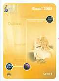Excel 2003 Level 1