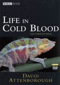 Life in Cold Blood 