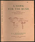 Hawk for the Bush