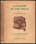 Click here to buy A Falcon In The Field: A Treatise On The Training & Flying Of Falcons First Edition by J. G. Mavrogordato.