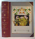 Iconografia De Orchidaceas Do Brasil (Generos E Principais Especies Em Texto E Em Pranchas) by F. C. Hoehne