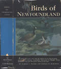 Birds of Newfoundland, Signed 1st Edition