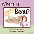 Where Is Beau?