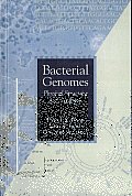 Bacterial Genomes: Physical Structure and Analysis