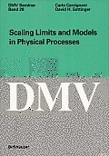 Scaling Limits and Models in Physical Processes