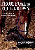 From Foal to Full-Grown