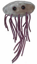 E. Coli: Escherichia Coli (Giant Microbes) Cover