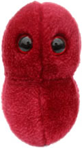 Sore Throat: Streptococcus (Giant Microbes) Cover