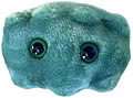 Bad Breath: Porphorymonas Gingivalis (Giant Microbes) Cover