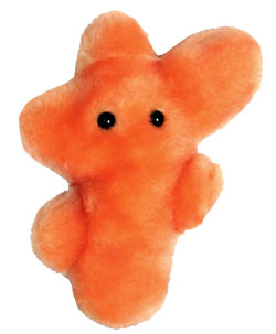 Athlete's Foot: Trichophyton Mentagrophytes (Giant Microbes) Cover