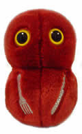 Flesh Eating Disease: Streptococcus Pyogenes (Giant Microbes) Cover