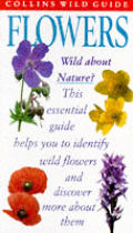 Wild Flowers