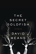 The Secret Goldfish: Stories