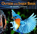 Outside and Inside Birds Cover