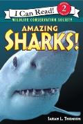 Amazing Sharks! (I Can Read Books: Level 2) Cover