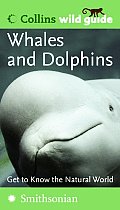 Whales and Dolphins (Collins Wild Guides)