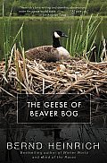 The Geese of Beaver Bog