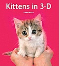 Kittens in 3-D