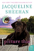 Picture This Cover