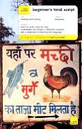Teach Yourself Beginner's Hindi Script (Teach Yourself...Script)