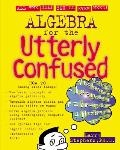 Algebra for the Utterly Confused