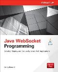 Java Websocket Programming (Oracle Press)