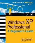 Windows (R) XP Professional: A Beginner's Guide (Beginner's Guides)