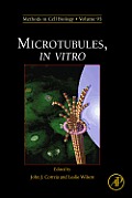 Microtubules, in Vitro