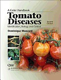 Tomato Diseases