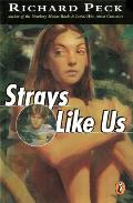 Strays Like Us Cover